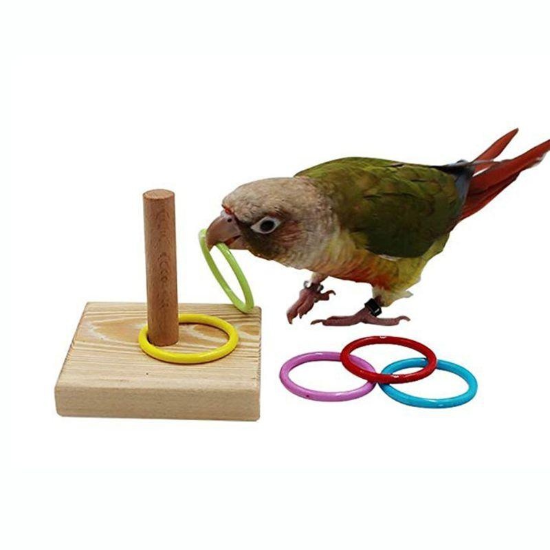 Gymnastic Ring Wood - لعبة حلقة تدريب الطيور الببغاء ألعاب